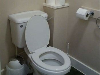 Inn The Swan Pub 3*